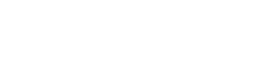 婚恋报告查询